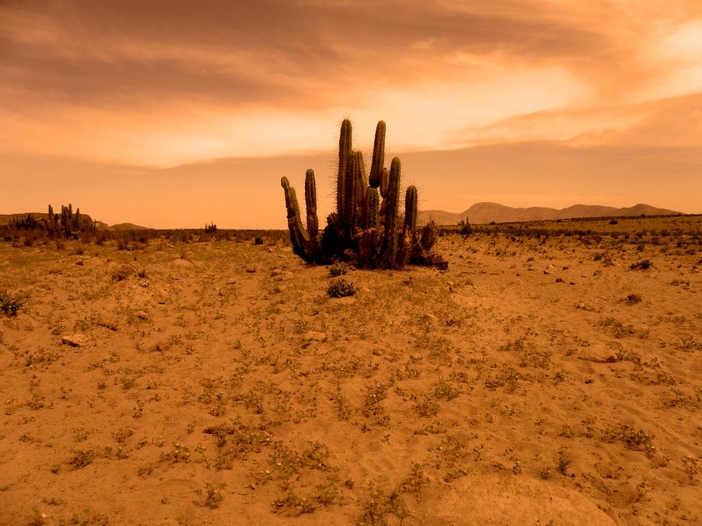 desierto clemesi- jaime